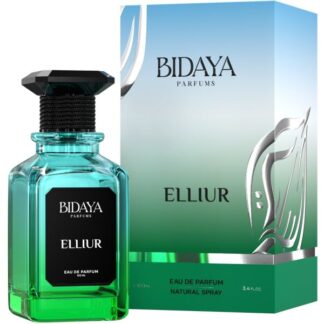 Bidaya Elliur